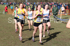 Womens under-20s 2019 British Athletics Inter Counties Cross Country, Prestwood Hall, Loughborough. Photo:  David T. Hewitson/Sports for All Pics
